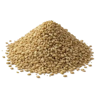 Ajwain (carom seeds)