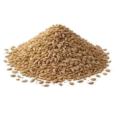 Jeera (cumin seeds)